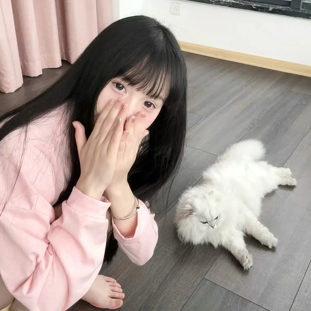 哈伊